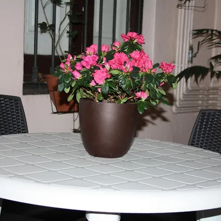 Guest house Colmenero